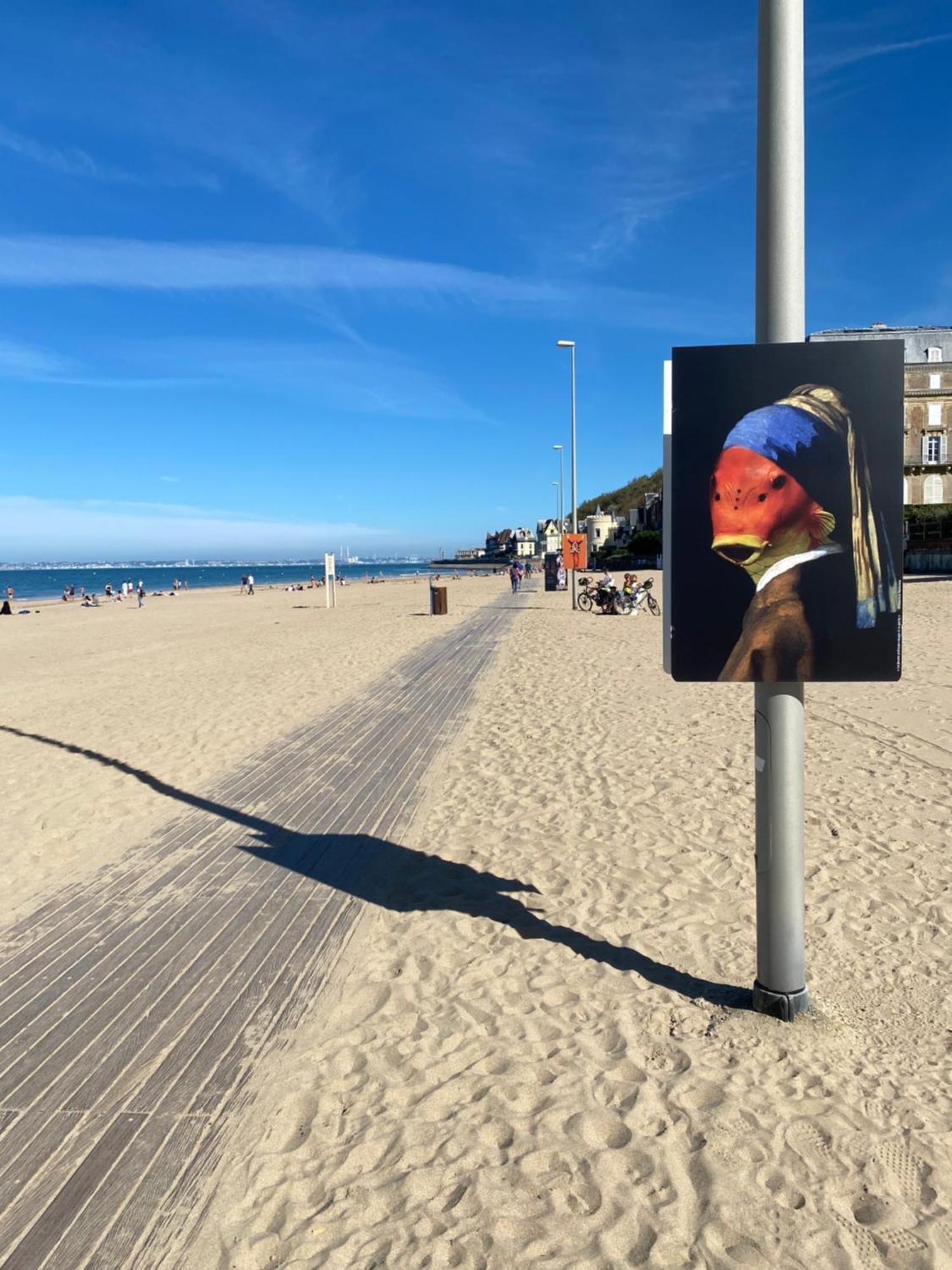 Cote Plage - Magnifique Appartement De Charme A Trouville Sur Mer - Linge - Lit Fait - Parking - Wifi - Classe Par L'Office Du Tourisme 外观 照片